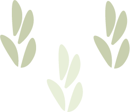 Decorazione bonidades