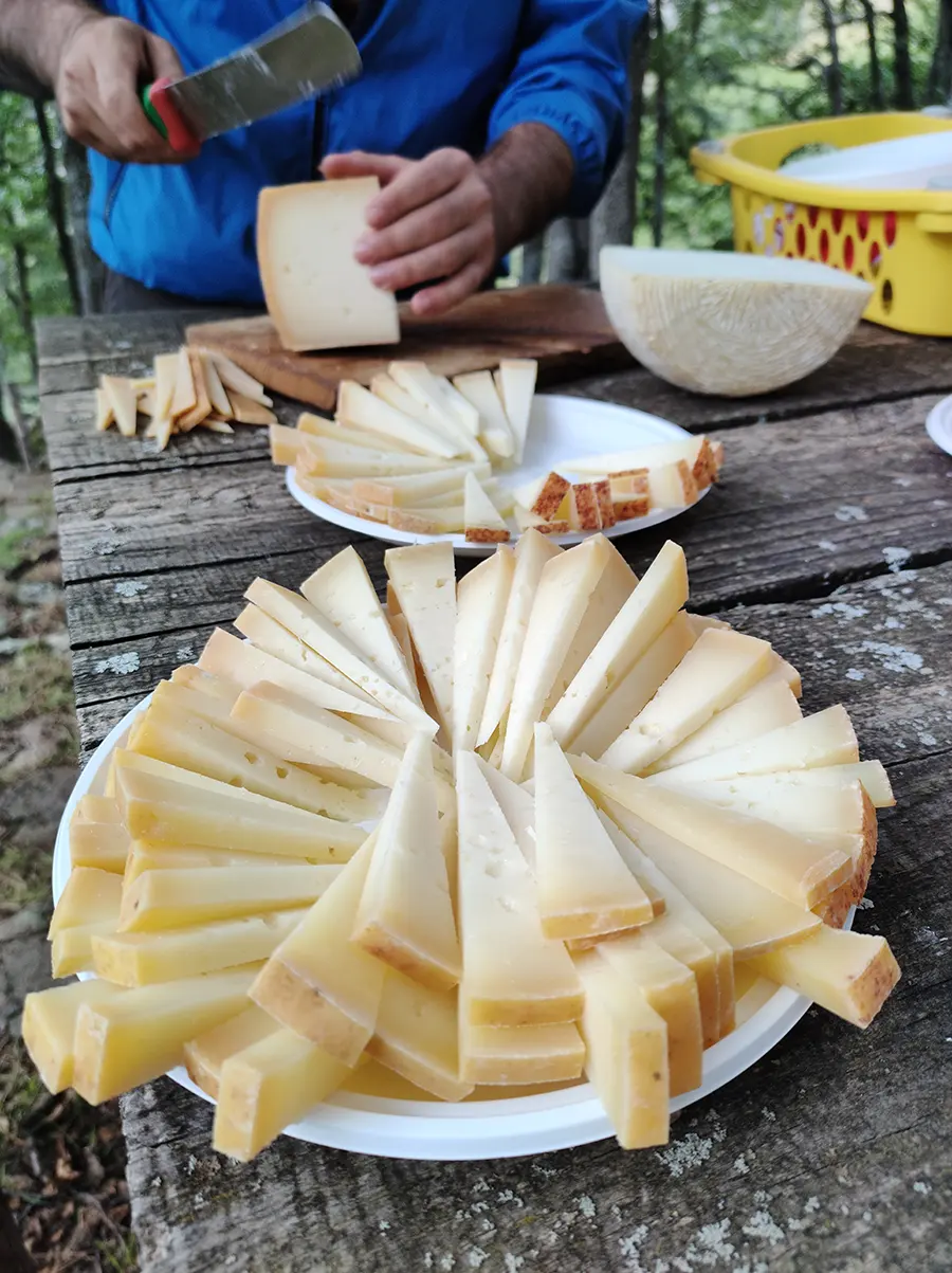 Formaggi di Desulo