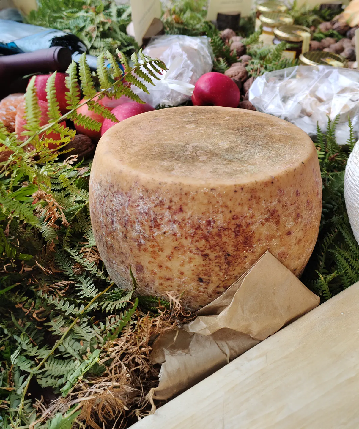 una forma di formaggio Todde, in fondo si intravedono delle mele e dei torroncini tipici sardi